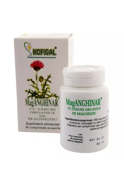 Hofigal MagArtichoke supliment alimentar, 60 tablete