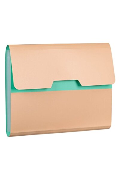 SHOPIENS Document Organizer Briefcase, 13 Compartments, Mint and Salmon, 33x27 cm