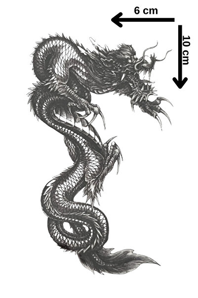 Barly Ejderha Figürlü Mini Dövme Tattoo