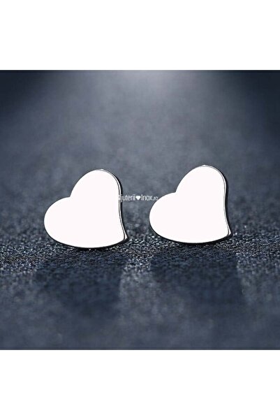 KEVSA Jewelry Cercei din oțel inoxidabil - CM1163