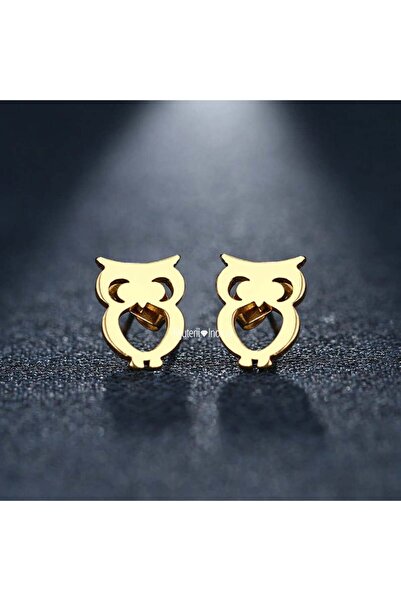 KEVSA Jewelry Cercei din oțel inoxidabil - CM1144