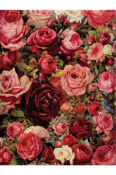 Rich KOLAY TRANSFER BÜYÜK AÇIK ZEMİN 6728