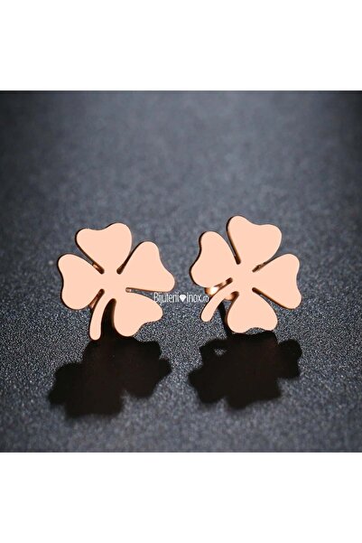 KEVSA Jewelry Cercei din oțel inoxidabil - ROZ - CM1455