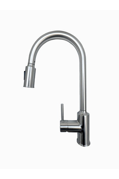 SanDonna Cami nickel kitchen faucet with pull-out shower