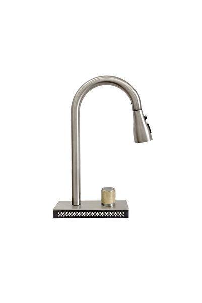 SanDonna Aster satin chrome kitchen faucet with pull-out shower