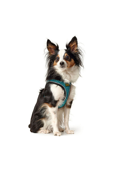 Hunter Dog Harness Hilo Comfort 55-60 cm Size M Turquoise