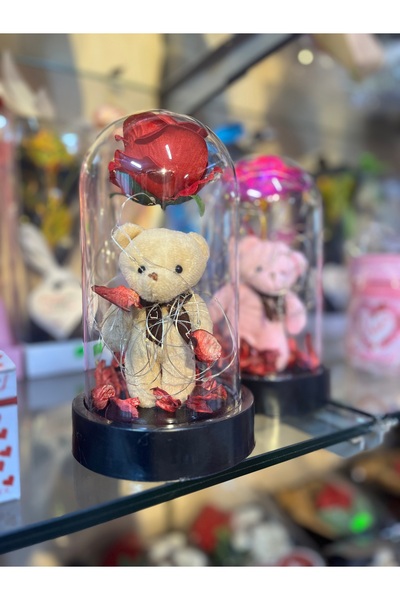 Güler parti Ledli fanus (ayıcıklı)