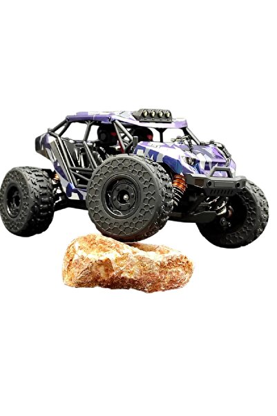 alpmodel Elektrikli RC 1:16 Ölçek Servo Motor Mega Arazi Aracı Spor Araç 45 K...
