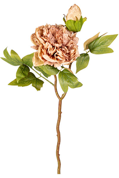 Herdekora Yapay Çiçek, Şakayık, Açık Kahve - Tomurcuklu, 50 cm