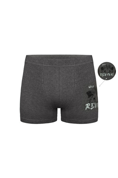 Donella 5-пачка боксерів для хлопчиків 8524B2