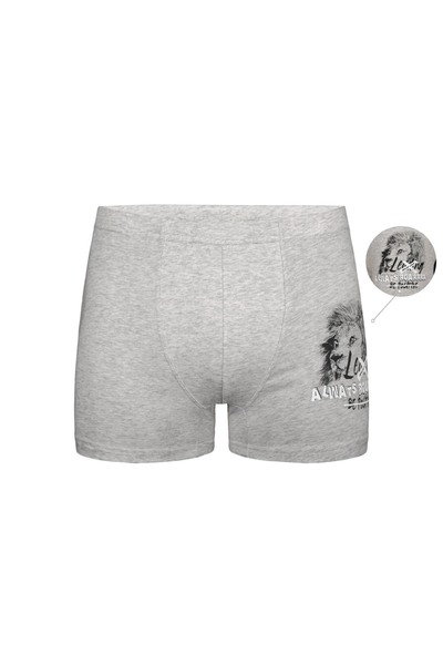 Donella 5-пачка боксерів для хлопчиків 8524B2