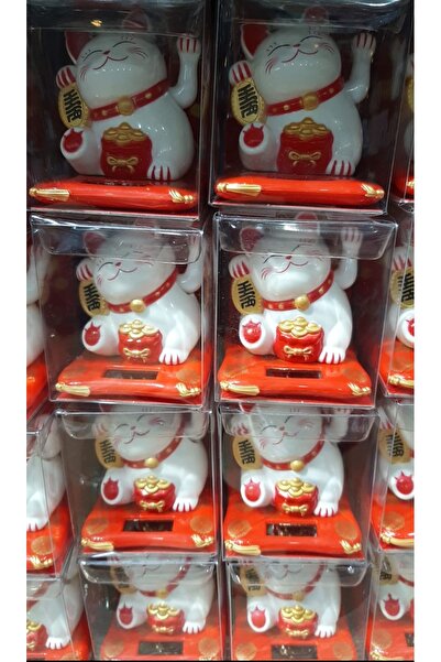 baytoptan Şanslı Kedi