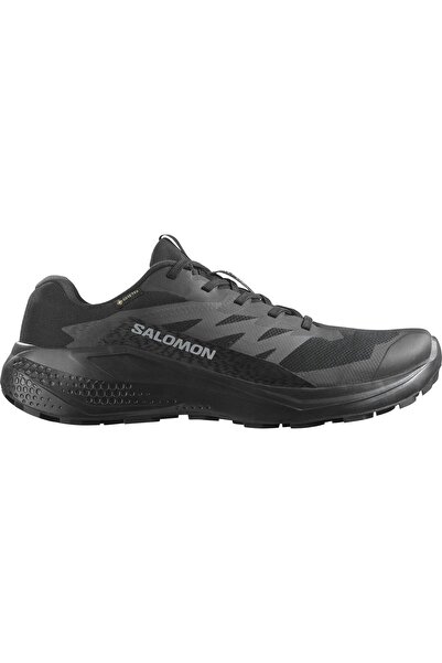 Salomon Alphaglide Gore-Tex Erkek Patika Koşu Ayakkabısı-L47802100