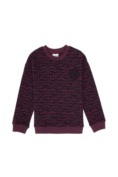 U.S. Polo Assn. Boy's Burgundy Crew Neck Sweatshirt 50308599-Vr177