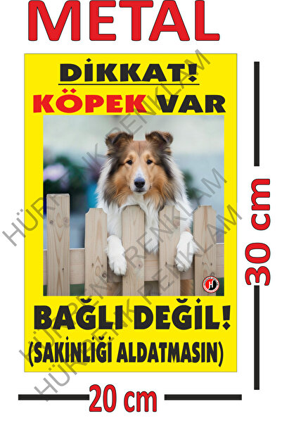 sıradışıhediyem لافتة تحذيرية: هناك كلب، لا علاقة له، مقاس 20×30، مطبوعة على ...