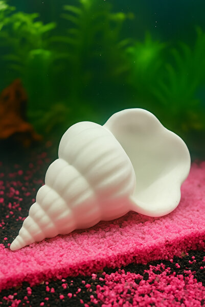 MD×JOA Akvaryum Dekoru ★ Deniz Kabugu Akvaryum Süsü ★ Fanus , Mini Akvaryum v...