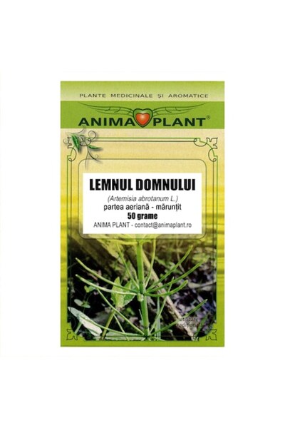 Anima Plant Ceai de plante Lemnul Domnului (Artemisia abrotanum), părți aerie...