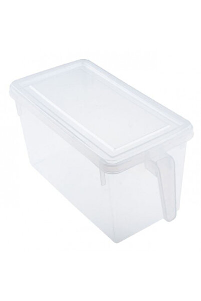 OEM Plastic refrigerator organizer box with handle, size 31.5 x 15.5 x 16 cm