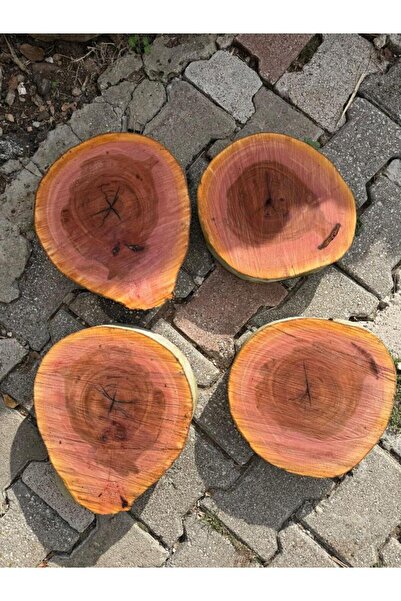 Handmade Çınar ağacından Epoksi kesim kütük, Sehpalar için ağaç kütük 30-40 c...