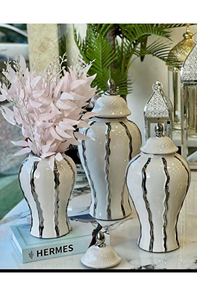 Larus 3lü vazo seti gümüş çizgili beyaz