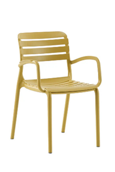 Novussi Notte Hardal 6'lı Sandalye