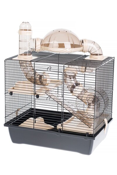 Other INTER-ZOO Rocky terrace beige 420x290x550