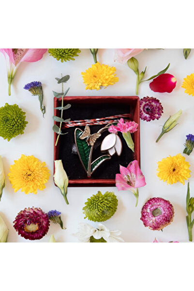 Vision XXI Set of 3 Snowdrop, Horseshoe and 4-Leaf Clover Brooches, in Red Boxes