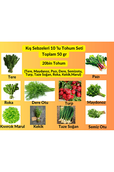 Bade Shop Kışlık Yeşillik Tohum Seti (10’lu Paket) | 50 gr | Yaklaşık 20.000 ...