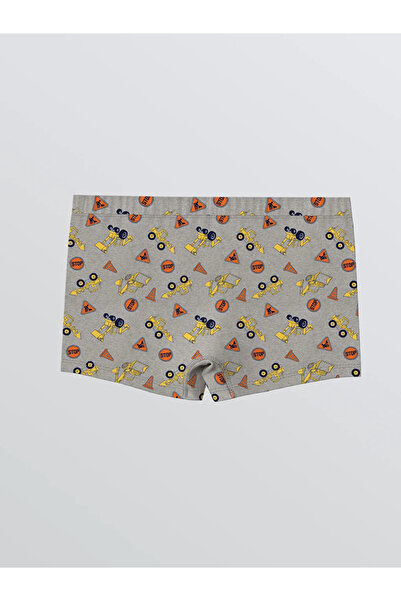 LC Waikiki Printed Boy's Boxer Set of 3