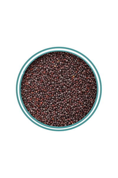 alatar بذور الخردل 125 جرام