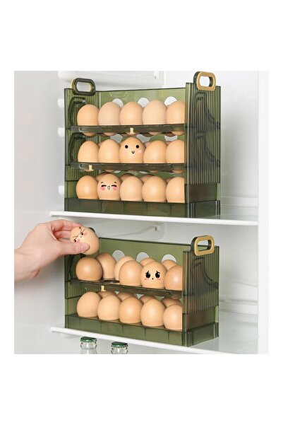 easybox Flippy Egg Organizer for Fridge, Transparent Green, 20-Egg Capacity, 2-Tier (25.5x10x17 cm)