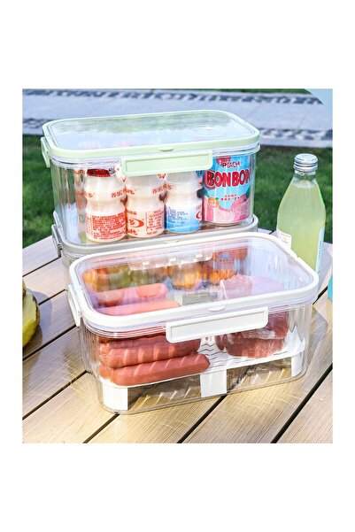 Flippy Portable Lunch Box with Ice Separator & Drain, 25x16.5x11.5 cm, Gray/Transparent