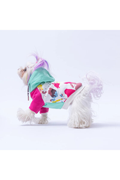 Pawstar Rio Kedi Köpek Hoodie