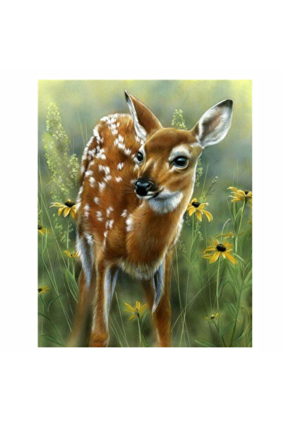 Krista Tablou pe pânză B14-31447 Goblen Diamante rotunde, 50 x 40 cm, Cerb