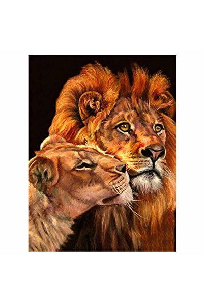 Krista Tablou pe pânză B15-31448 Goblen Diamante rotunde, 50 x 40 cm, Leu și ...