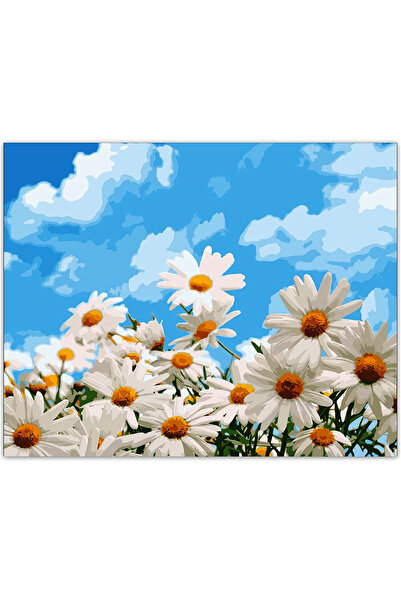 Krista Tablou pe pânză PM988, Câmp de margarete, pictură pe numere, ramă din ...