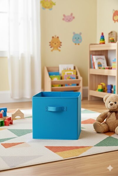 HomyJRs Blue Lidless Storage Box