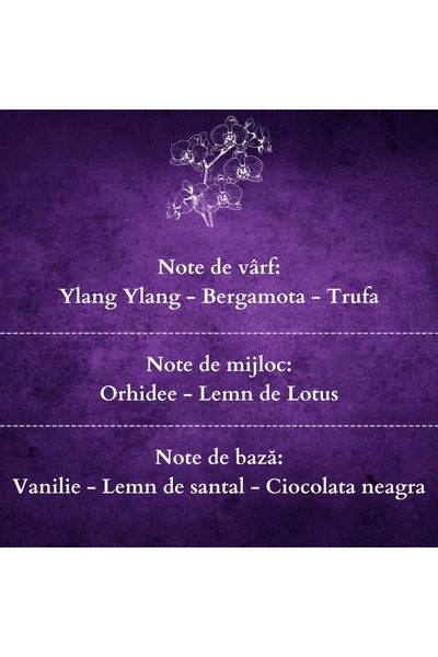 AromaZone Lumânare BLACK ORCHID din ceară de soia și cocos, Handmade – 220g, timp de ardere 45h