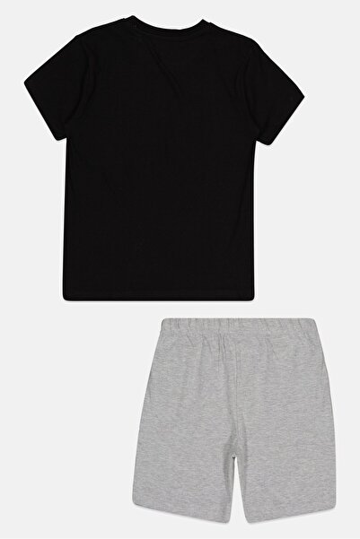 Harry Potter Kids Boy 2 Pcs Graphic Print Short Sleeve T-Shirt And Shorts Pajama Set, Multicolor