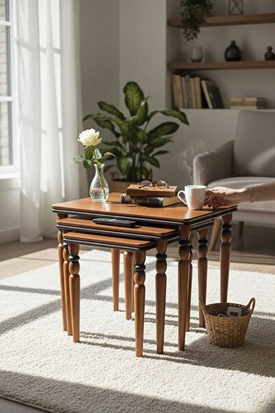 Akabesan Aksesuar Venüs Serisi Tasarım Dikdörtgen Ceviz Siyah Detaylı 1.sınıf...