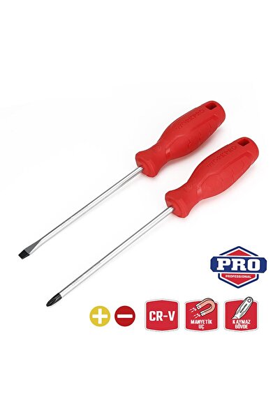 Workpro WP200500 2 Parça Yıldız/Düz CR-V Manyetik Profesyonel Tornavida Seti