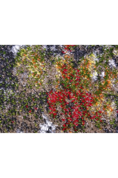 Kolibri Modern Carpet, 11582-BG92, Gray, Brown, Red, 9 mm Thread, Anti-Allergic, Living Room, Bedroom, Hallway