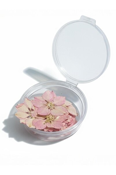 stonechem Kurutulmuş Pembe Sakura 20 adet