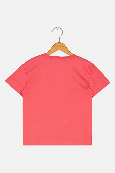 Levi's Kids Boy Crew Neck Brand Logo Short Sleeve T-Shirt, Red