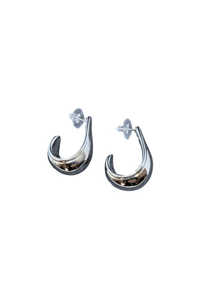 FM Curved Model Shiny Silver Color Stylish 316L Light Steel Earrings |   Spec...