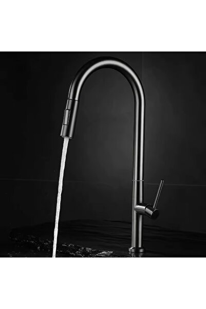 OEM Baterie Chiuveta Bucatarie, Design Modern, 3 Moduri, Extensibil, Oțel Inoxidabil, gri