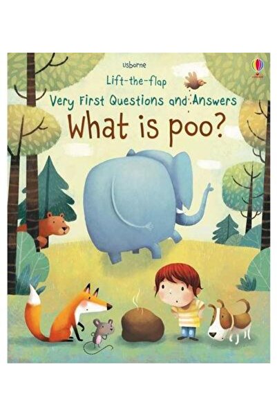 Usborne Publishing Ltd Lift-the-flap. Very first questions and answers. W