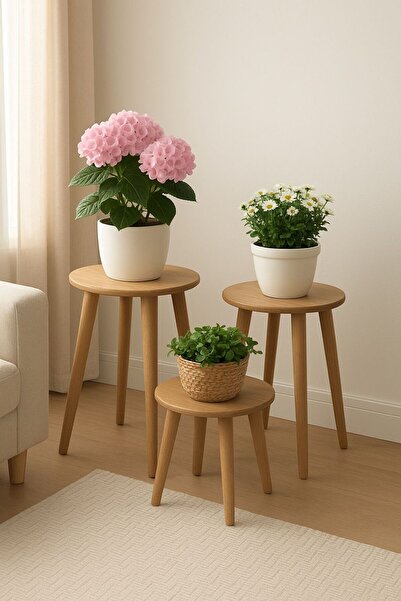 AR&MA WOOD Saksılık Ahşap Ayaklı 3’lü Yuvarlak Dekoratif Raf Çiçeklik Saksı Ç...