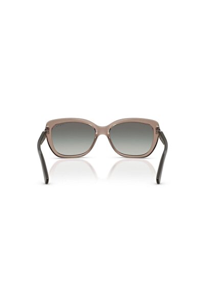 Vogue 5678Sb 294011 55 Sunglasses