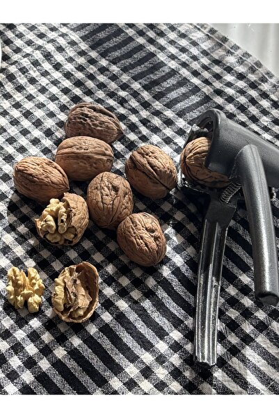 Vina Store Yerli Kabuklu Chandler Ceviz – Doğal Bahçe Ürünü 5 kg